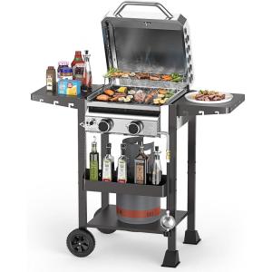 image2 Burner BBQ Propane Gas Grill 16000 BTU Stainless Steel Compact Gas Barbecue Grill with Foldable Shelves Small Propane Grills Outdoor Cooking for Patios Backyard Camping 255 SQIN Cook Area2 Burner